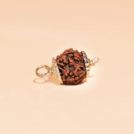 Rudhraksh 5 Mukhi Premium